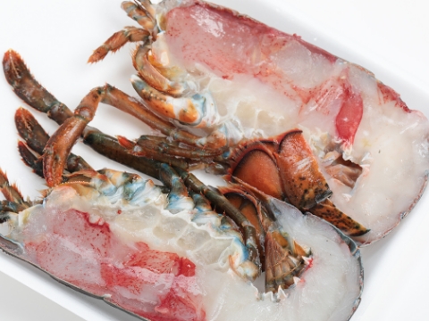 活オマールハーフカット（冷凍）