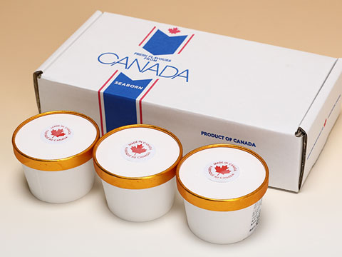 メープルフレーバーアイスクリーム