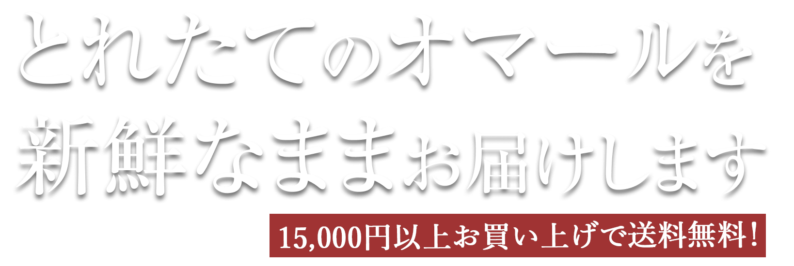 とれたてのオマールを新鮮なままお届けします